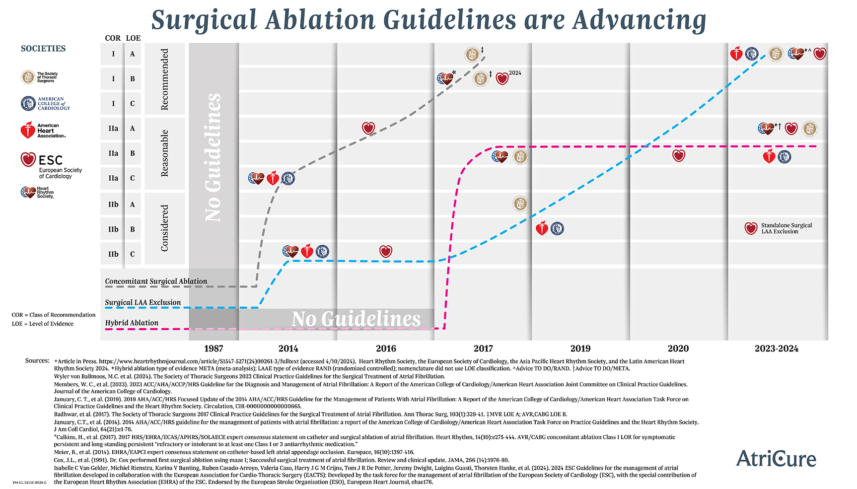 Surgical Ablation Society Guidelines